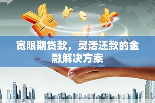 德州宽限期贷款，灵活还款的金融解决方案