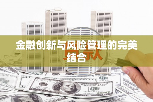 德州金融创新与风险管理的完美结合