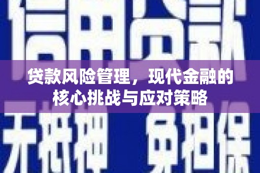德州贷款风险管理，现代金融的核心挑战与应对策略