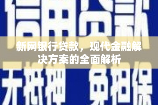 德州新网银行贷款，现代金融解决方案的全面解析