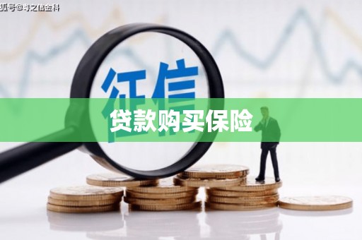 德州贷款购买保险