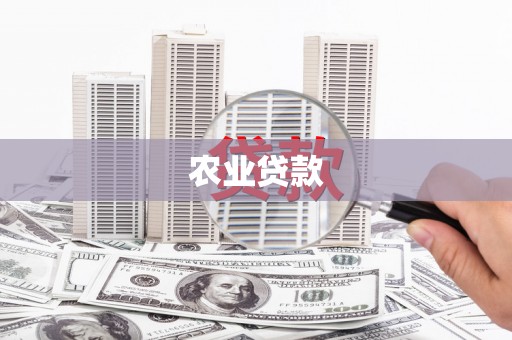 德州农业贷款
