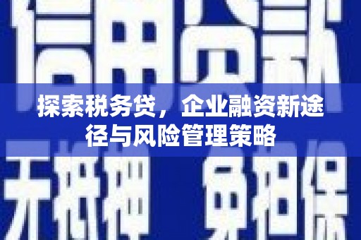 德州探索税务贷，企业融资新途径与风险管理策略