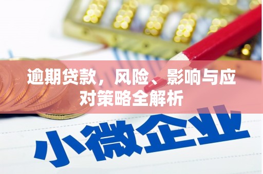 德州逾期贷款，风险、影响与应对策略全解析