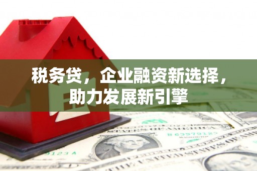 德州税务贷，企业融资新选择，助力发展新引擎