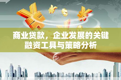 德州商业贷款，企业发展的关键融资工具与策略分析