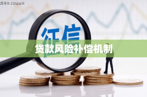 德州贷款风险补偿机制