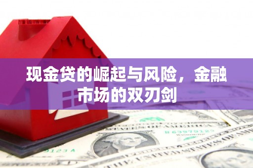 德州现金贷的崛起与风险，金融市场的双刃剑