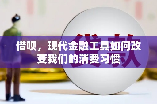 德州借呗，现代金融工具如何改变我们的消费习惯