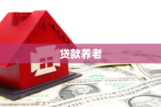 德州贷款养老