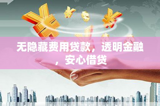 德州无隐藏费用贷款，透明金融，安心借贷