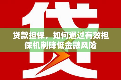 德州贷款担保，如何通过有效担保机制降低金融风险