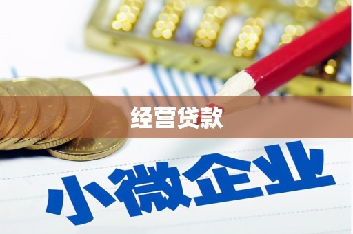 德州经营贷款