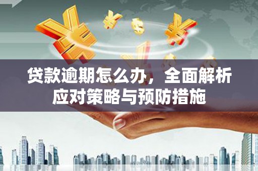 德州贷款逾期怎么办，全面解析应对策略与预防措施