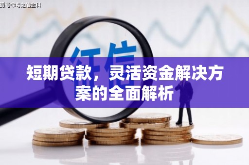 德州短期贷款，灵活资金解决方案的全面解析