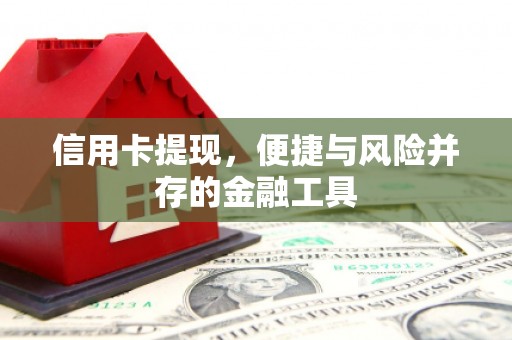 德州信用卡提现，便捷与风险并存的金融工具