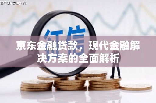 德州京东金融贷款，现代金融解决方案的全面解析