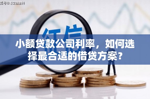 德州小额贷款公司利率，如何选择最合适的借贷方案？