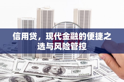 德州信用贷，现代金融的便捷之选与风险管控