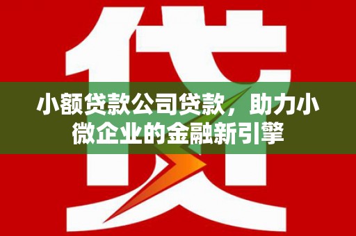 德州小额贷款公司贷款，助力小微企业的金融新引擎