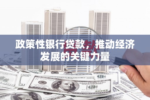 德州政策性银行贷款，推动经济发展的关键力量