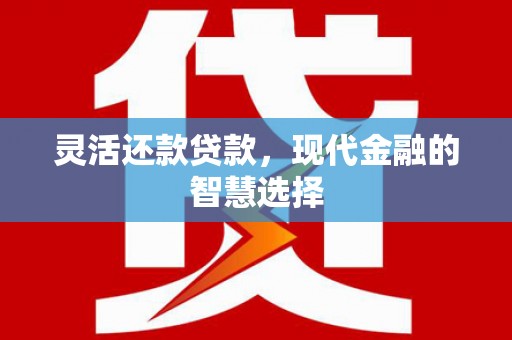 德州灵活还款贷款，现代金融的智慧选择