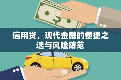 德州信用贷，现代金融的便捷之选与风险防范