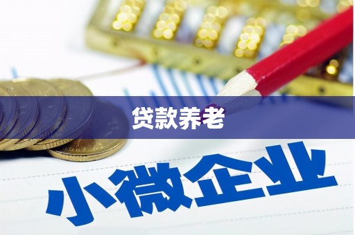 德州贷款养老