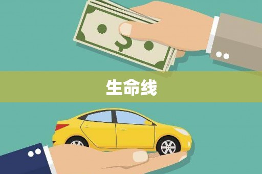 德州生命线