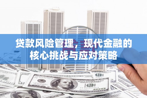 德州贷款风险管理，现代金融的核心挑战与应对策略