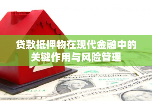 德州贷款抵押物在现代金融中的关键作用与风险管理