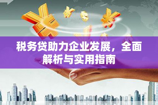 德州税务贷助力企业发展，全面解析与实用指南