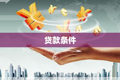 德州贷款条件