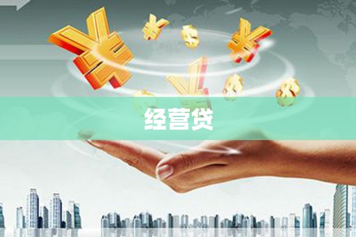 德州经营贷