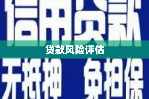 德州贷款风险评估