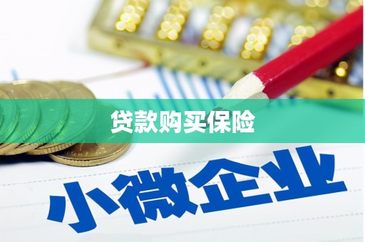 德州贷款购买保险