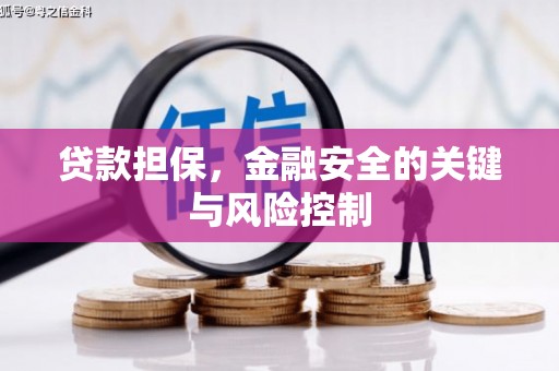 德州贷款担保，金融安全的关键与风险控制