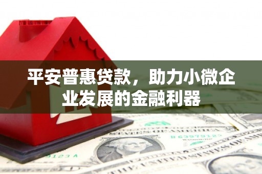 德州平安普惠贷款，助力小微企业发展的金融利器