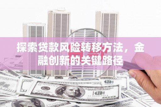 德州探索贷款风险转移方法，金融创新的关键路径