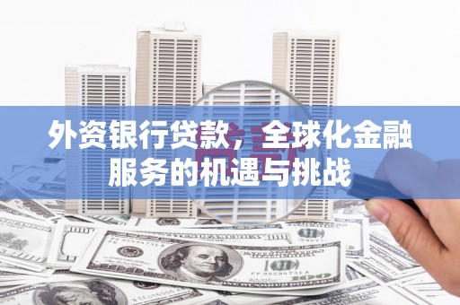德州外资银行贷款，全球化金融服务的机遇与挑战