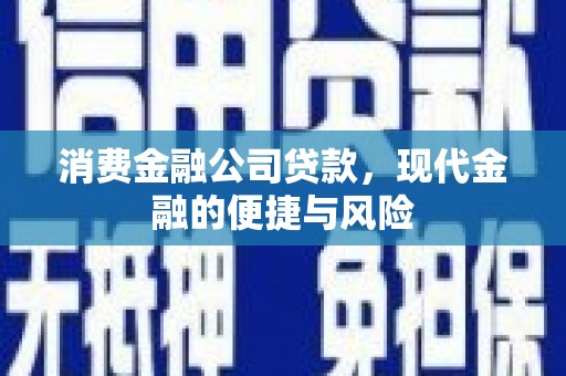 德州消费金融公司贷款，现代金融的便捷与风险