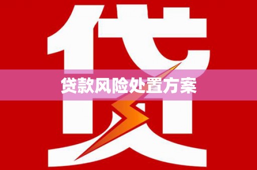 德州贷款风险处置方案
