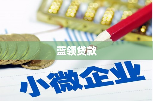 德州蓝领贷款
