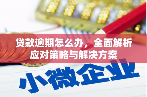 德州贷款逾期怎么办，全面解析应对策略与解决方案