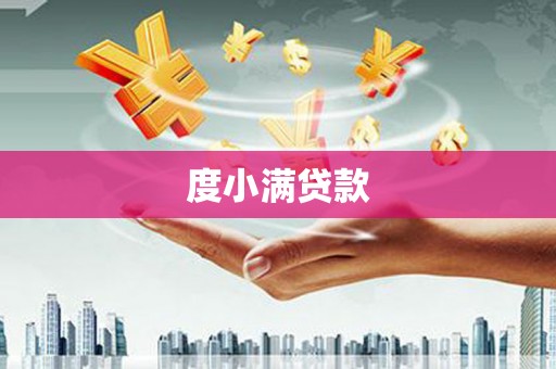 德州度小满贷款