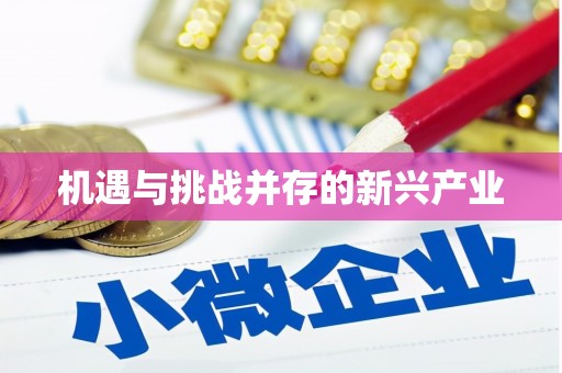 德州机遇与挑战并存的新兴产业