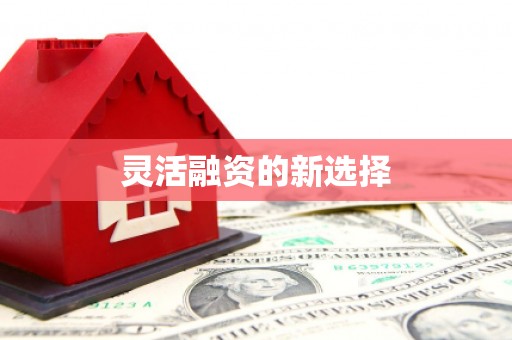 德州灵活融资的新选择