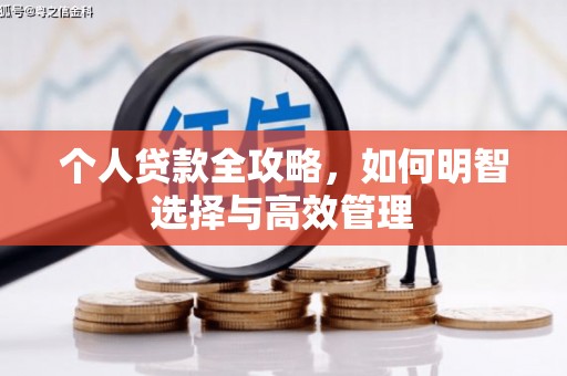 德州个人贷款全攻略，如何明智选择与高效管理