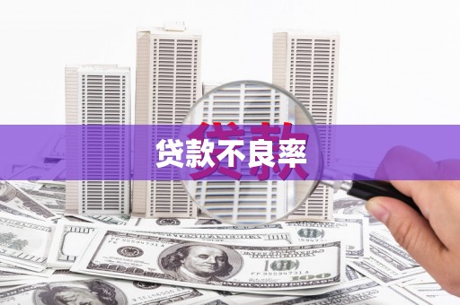 德州贷款不良率
