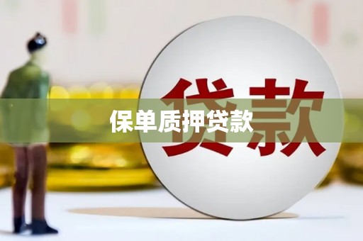 德州保单质押贷款